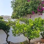 Mondriana Villa *
