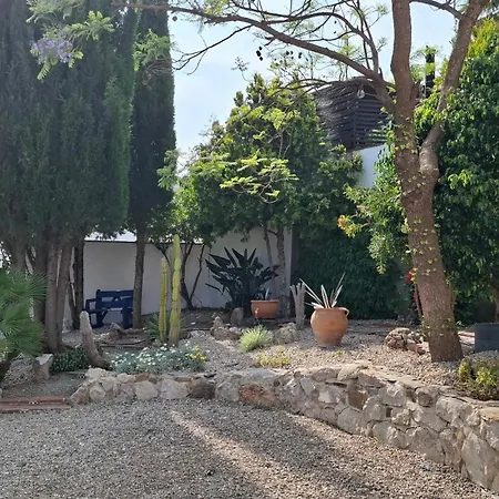 Mondriana